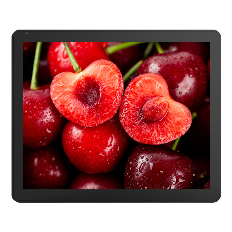 BIS Certified PCAP 17 Inch Touch Monitor With Peep Proof Film